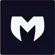 maidong